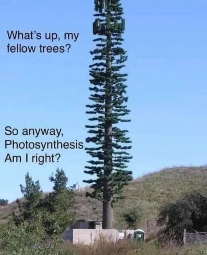 This meme is a play on the phrase "What's up, my fellow trees?" which is a common greeting, but it's said by a giant tree-like cell tower, implying it's a "fellow" tree. The punchline "So anyway, Photosynthesis. Am I right?" is a joke about the tree's ability to produce its own food through photosynthesis, implying it's a clever tree.